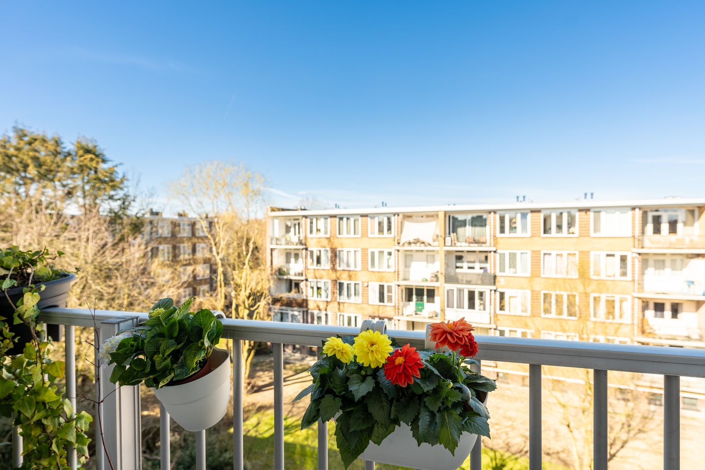 Foto 25 van Jan Campertplein 47