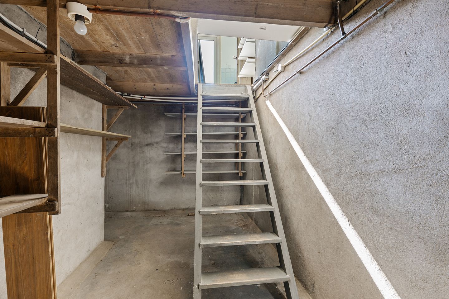 Foto 20 van Frjentsjerterein 10