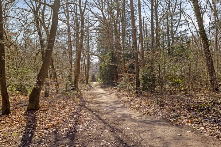 Foto 42 van Hoekelum 2