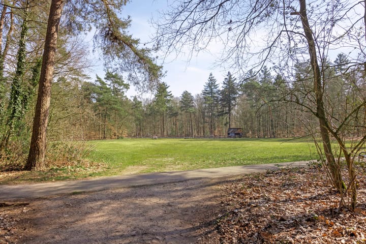 Foto 43 van Hoekelum 2