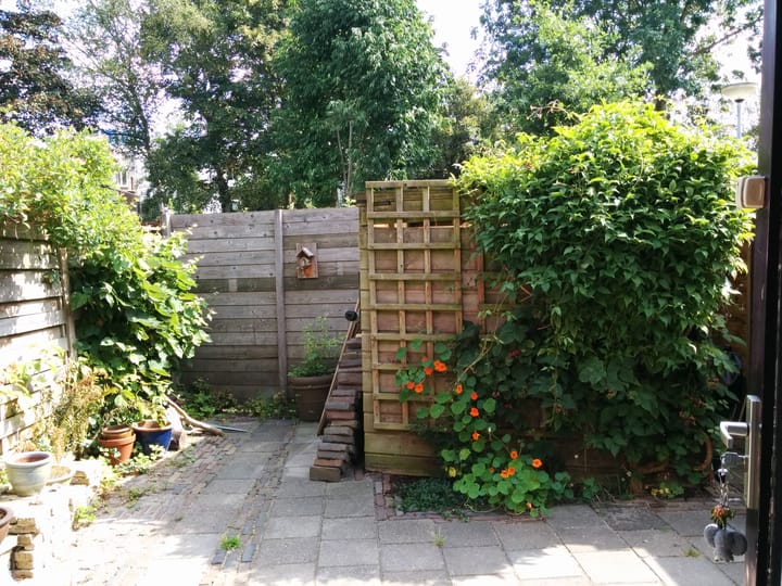 Foto 20 van Agricolastraat 26