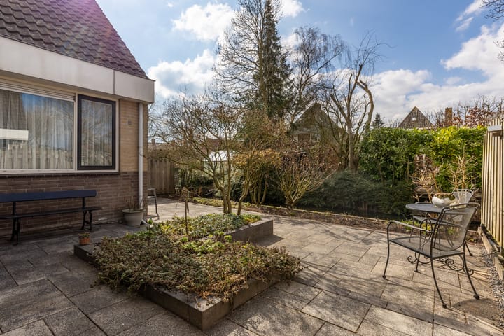 Foto 55 van Iepenpad 3