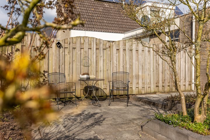 Foto 59 van Iepenpad 3