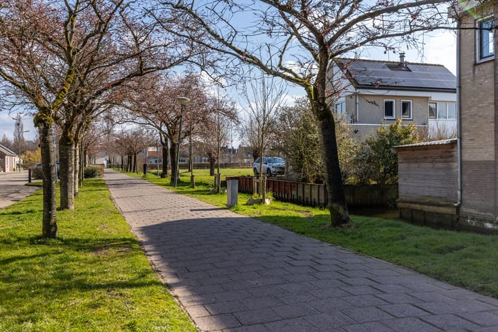 Foto 69 van Iepenpad 3