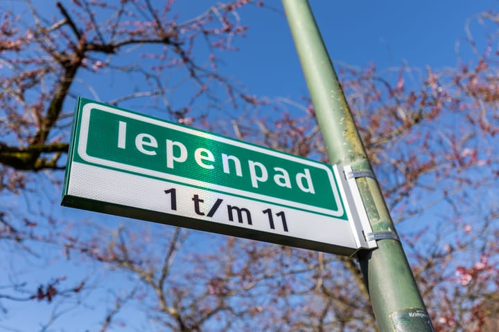 Foto 70 van Iepenpad 3