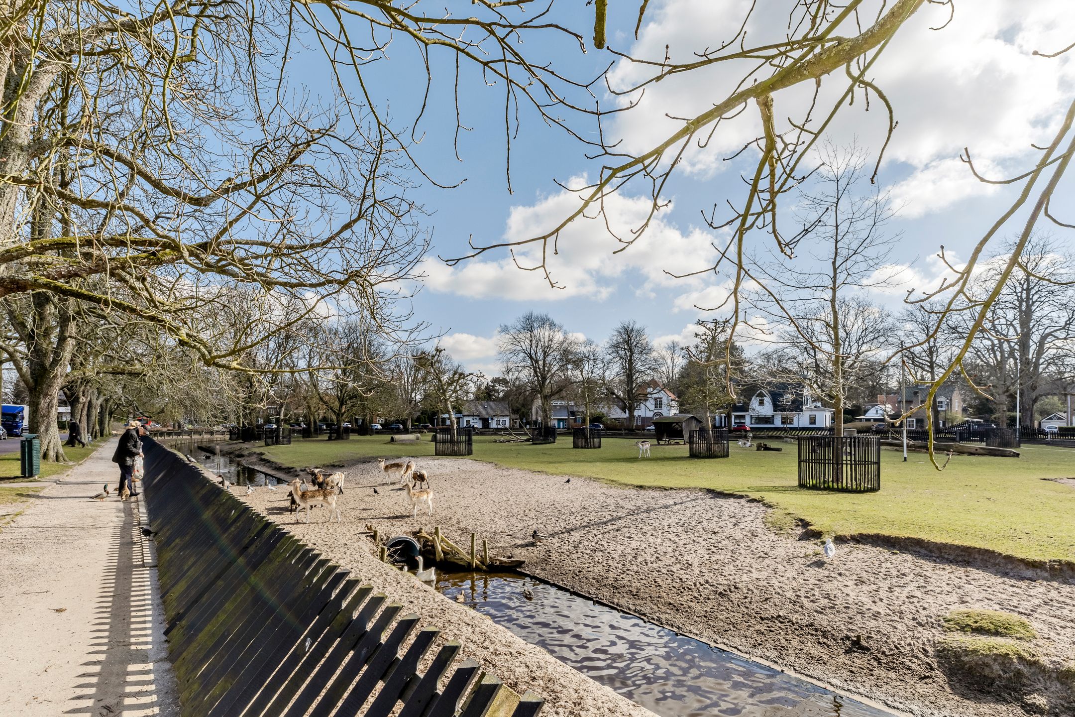 Foto 39 van Breelaan 18