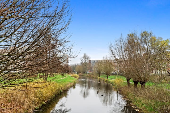 Foto 32 van Schlegelstraat 128