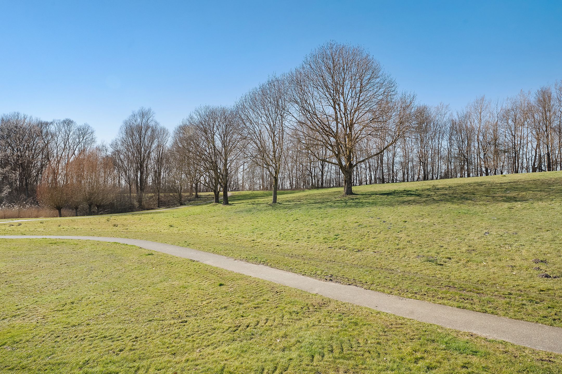 Foto 48 van Anne Franklaan 48