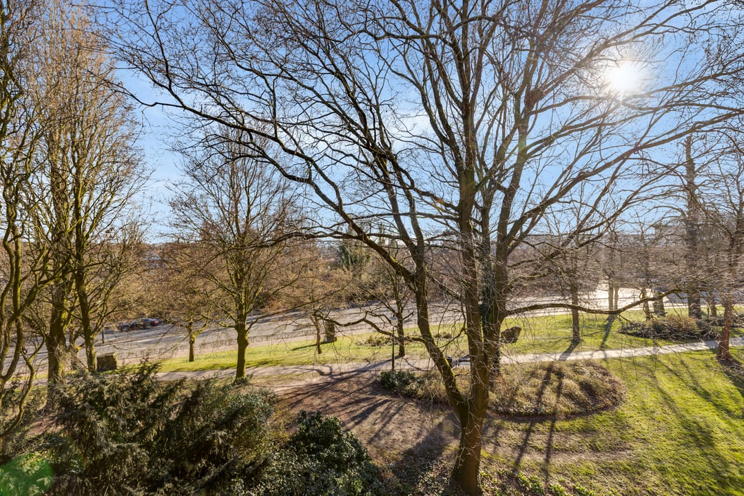 Foto 22 van Grote Haag 53