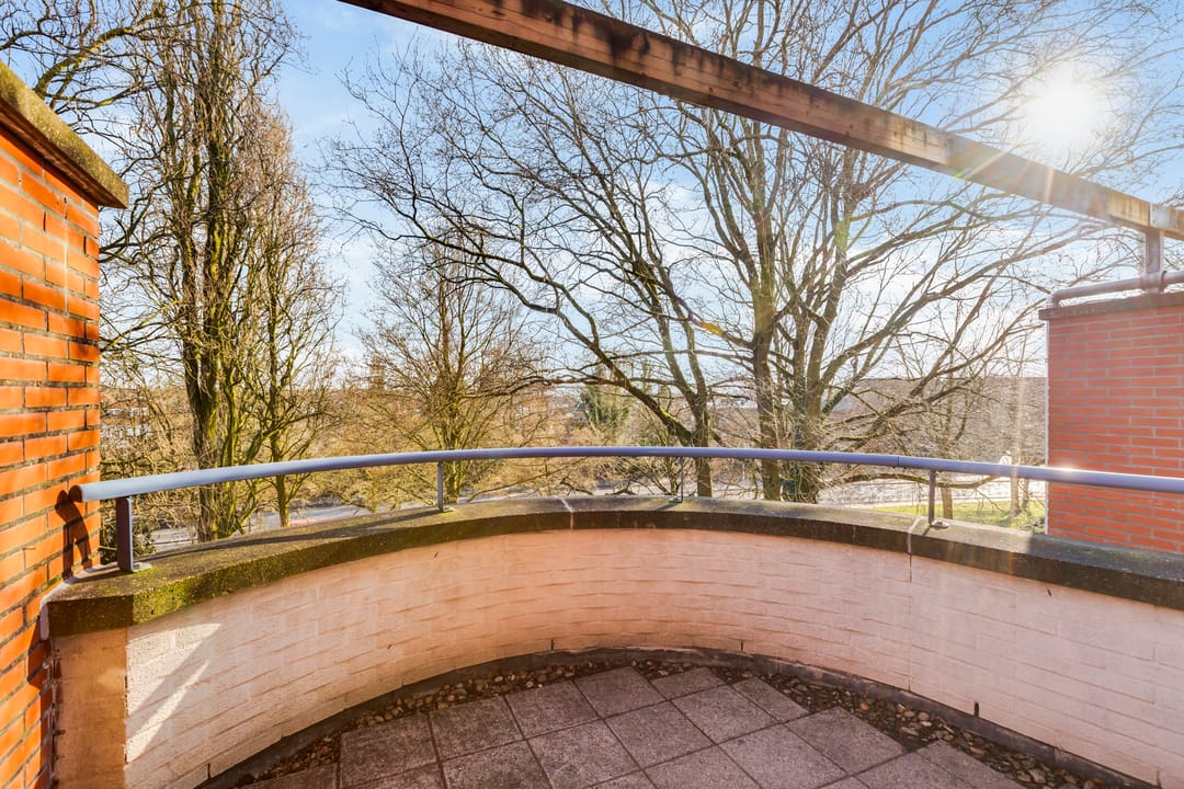 Foto 38 van Grote Haag 53