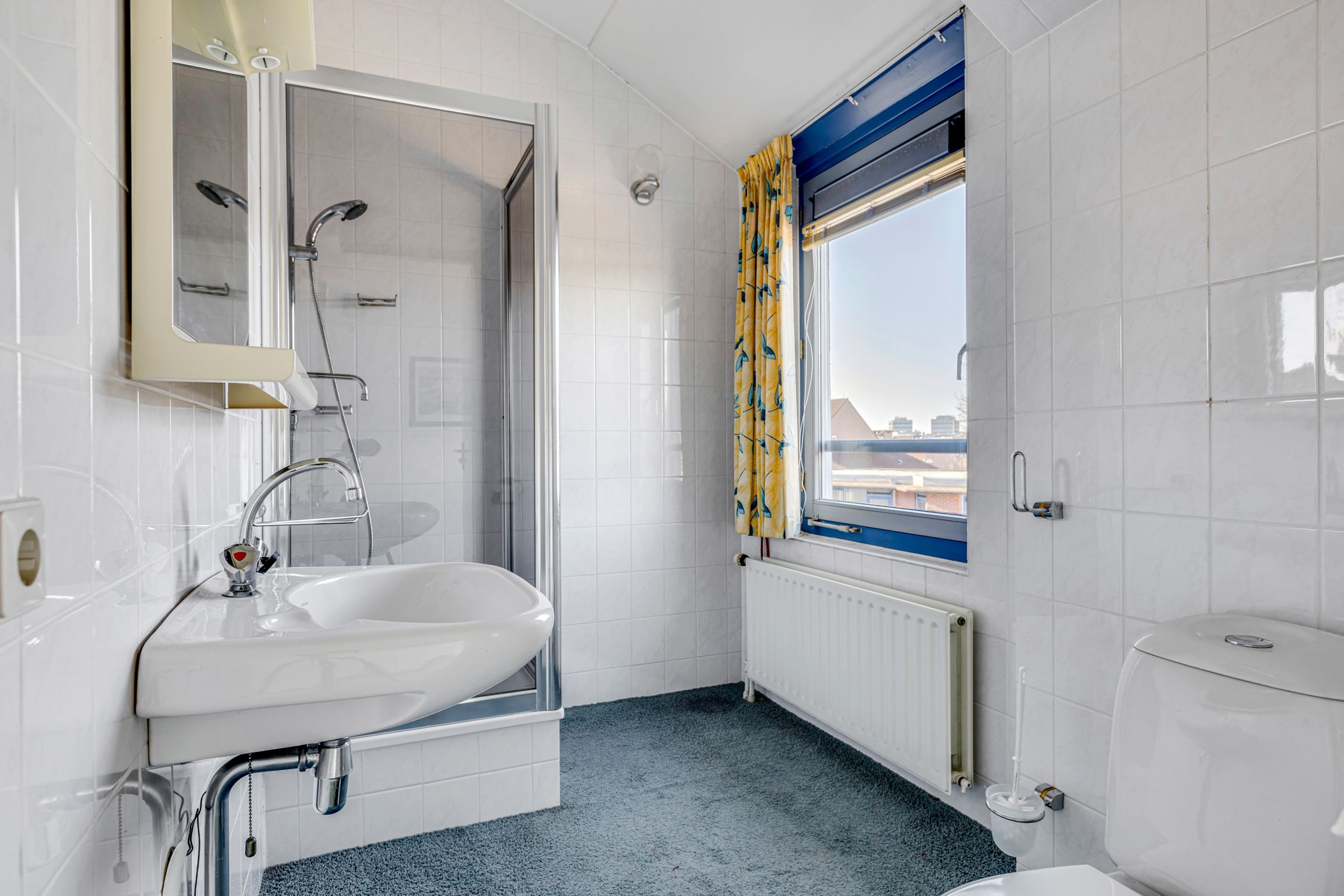 Foto 48 van Grote Haag 53