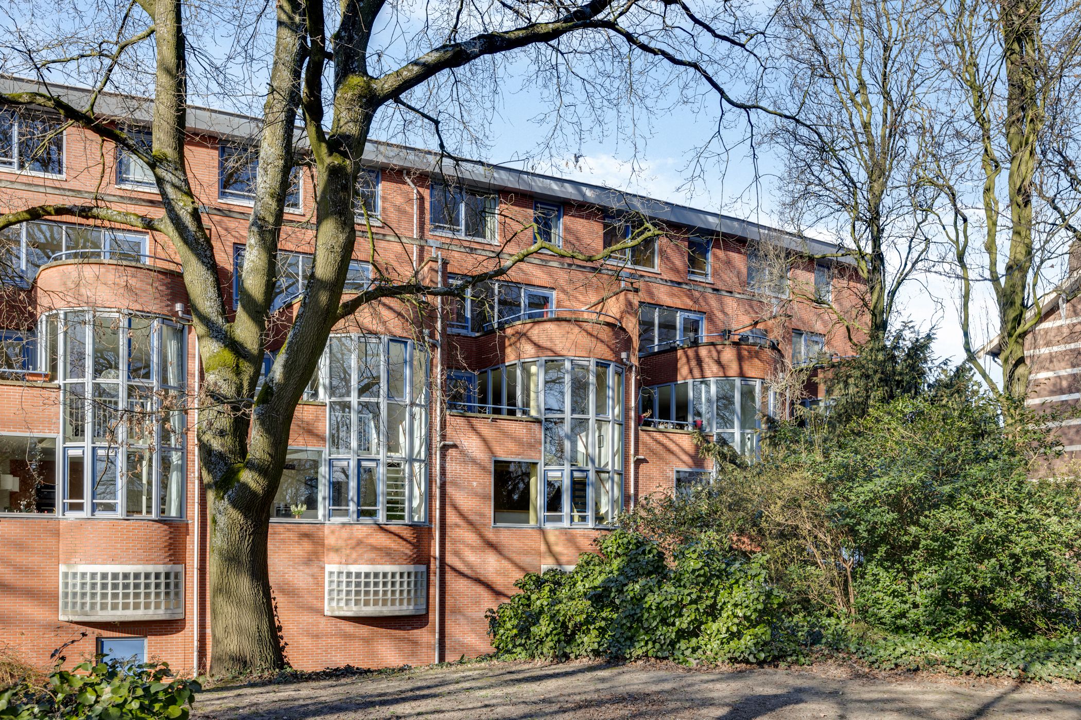 Foto 54 van Grote Haag 53