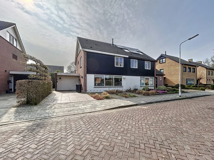 undefined main image