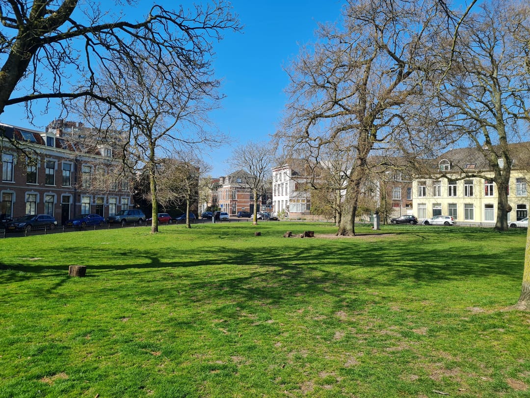 Foto 46 van Ripperdapark 33