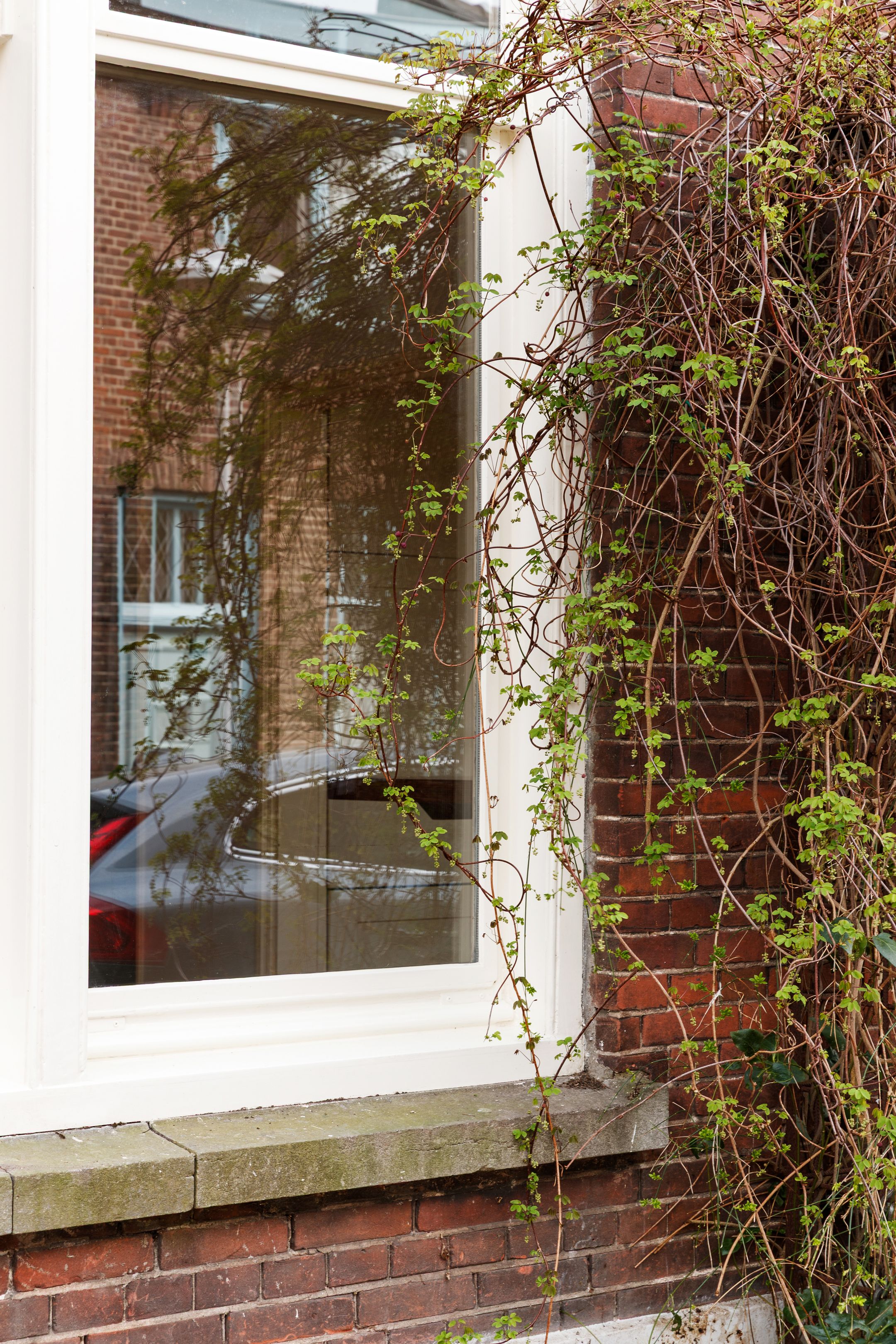 Foto 27 van Vlasstraat 26-A