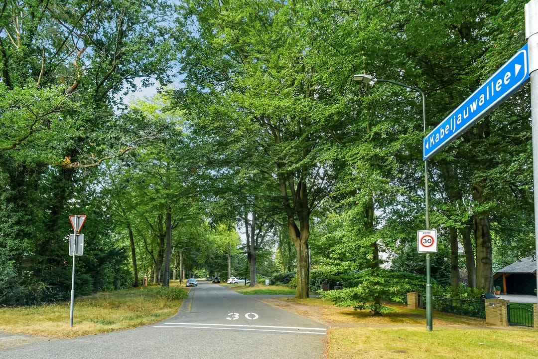 Foto 46 van Kabeljauwallee 10