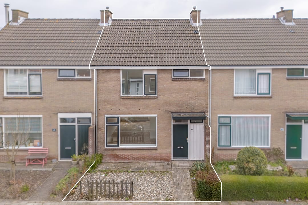 Foto 1 van Dolfijnstraat 47