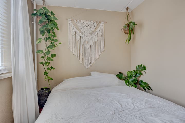 Foto 19 van Seychellen 34