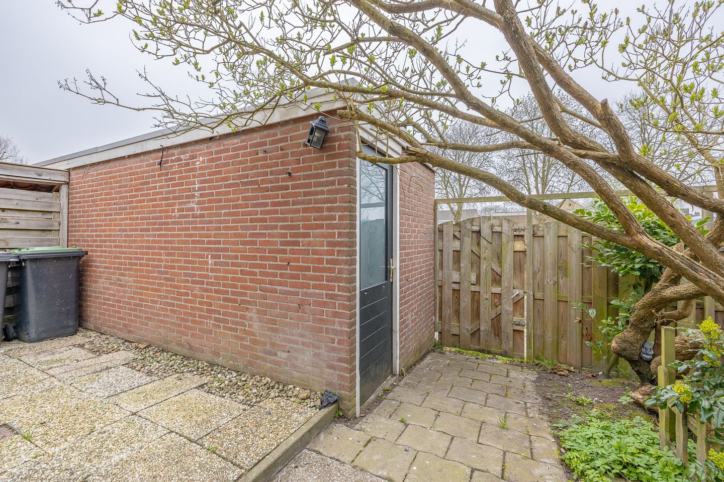 Foto 35 van Dolfijnstraat 47