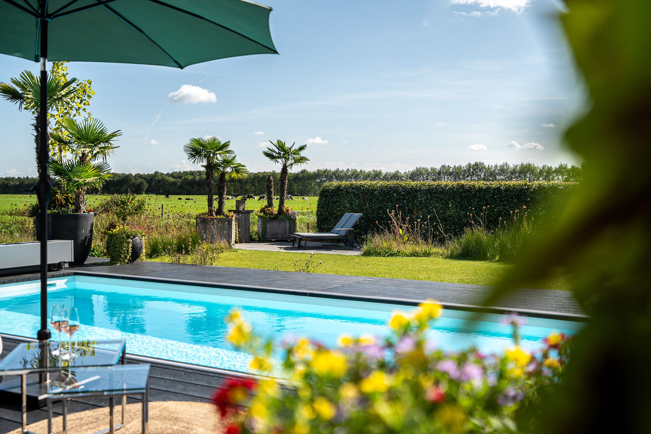 Foto 3 van Nieuwe Erf 22