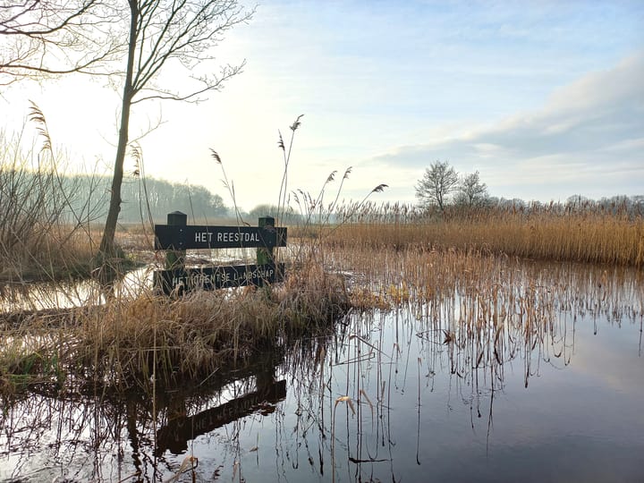 Photo 82 of Nieuwe Erf 22