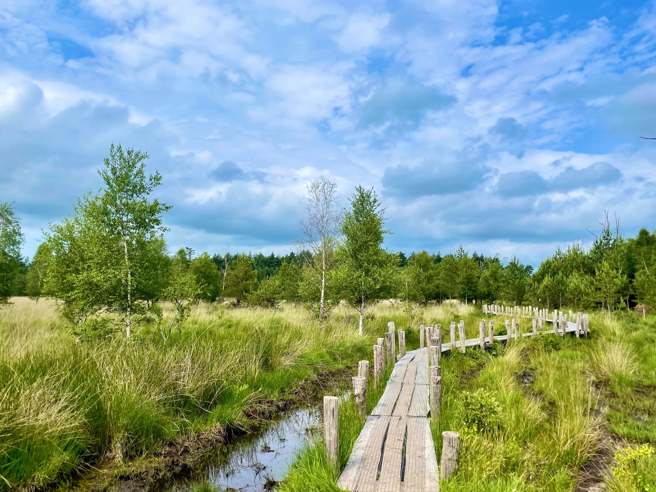 Foto 84 van Nieuwe Erf 22