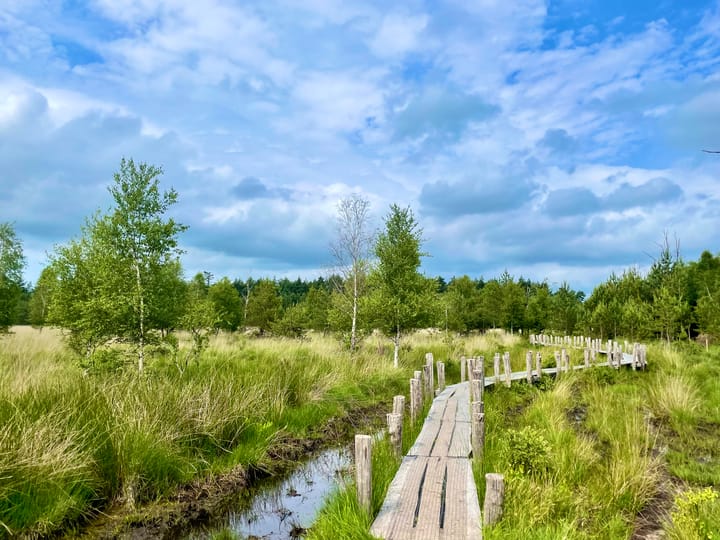 Photo 84 of Nieuwe Erf 22