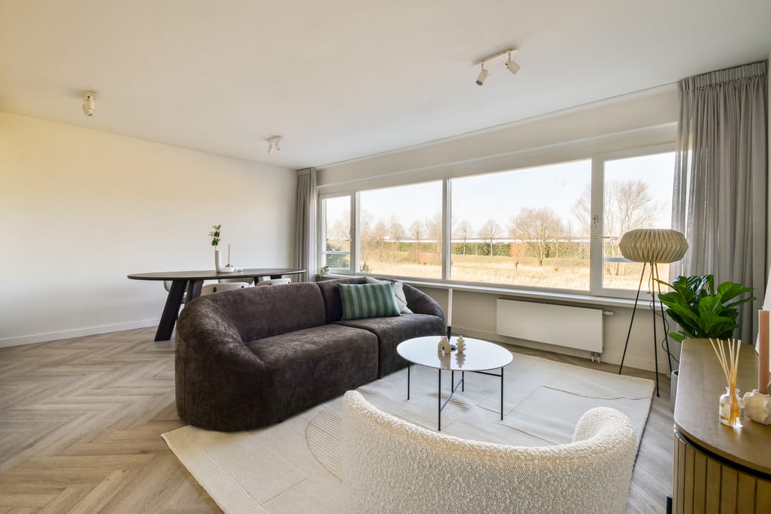 Foto 1 van Schotse Hooglanden 14-B