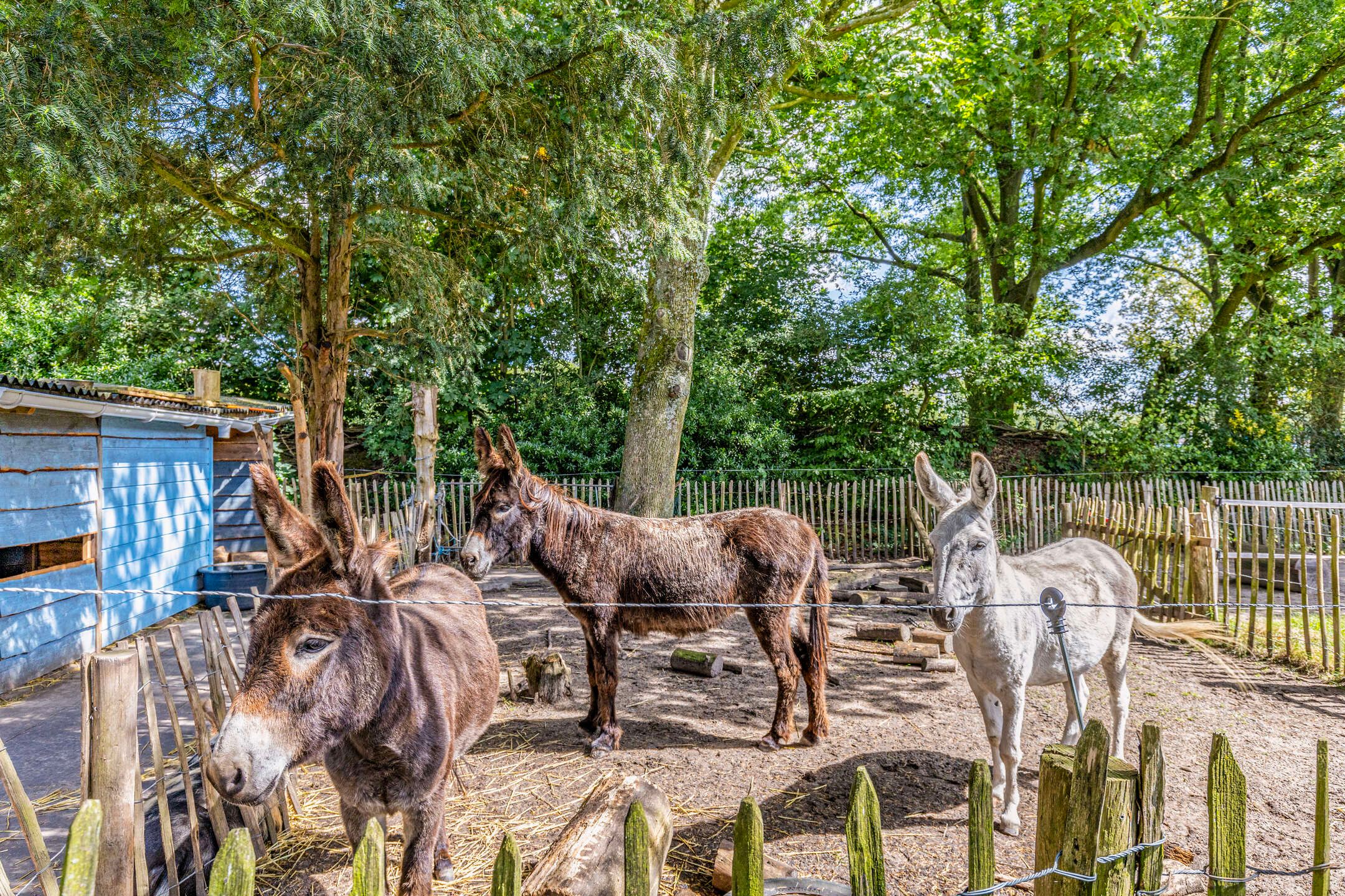 Photo 69 of Velddoornweg 71