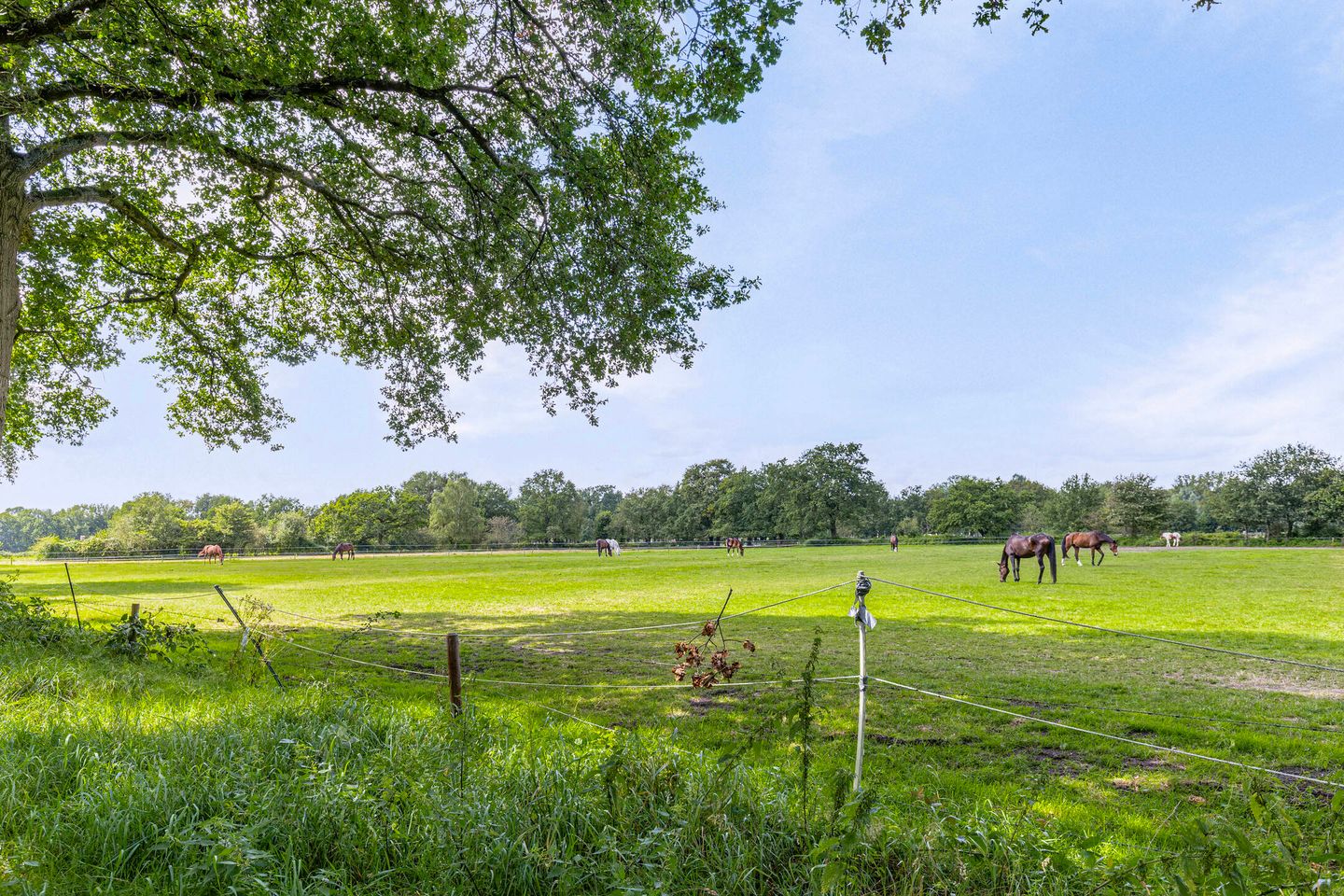 Photo 109 of Velddoornweg 71