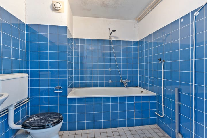 Foto 21 van Het Zwanevlot 288