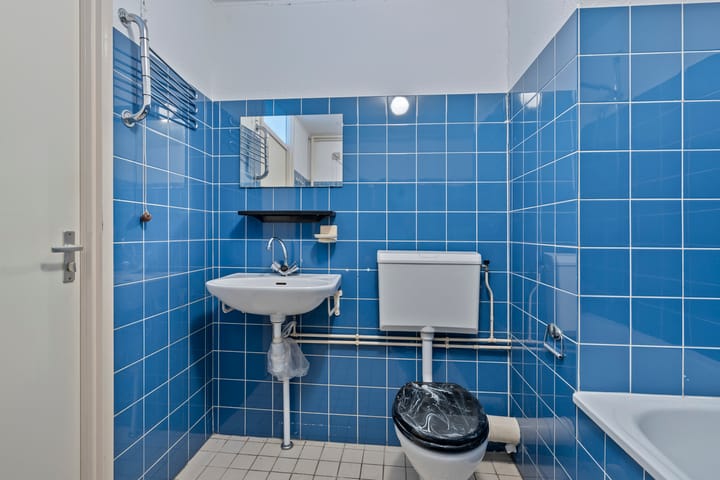 Foto 22 van Het Zwanevlot 288