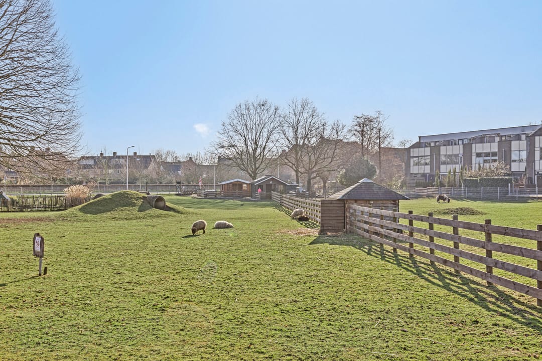 Foto 31 van Het Zwanevlot 288