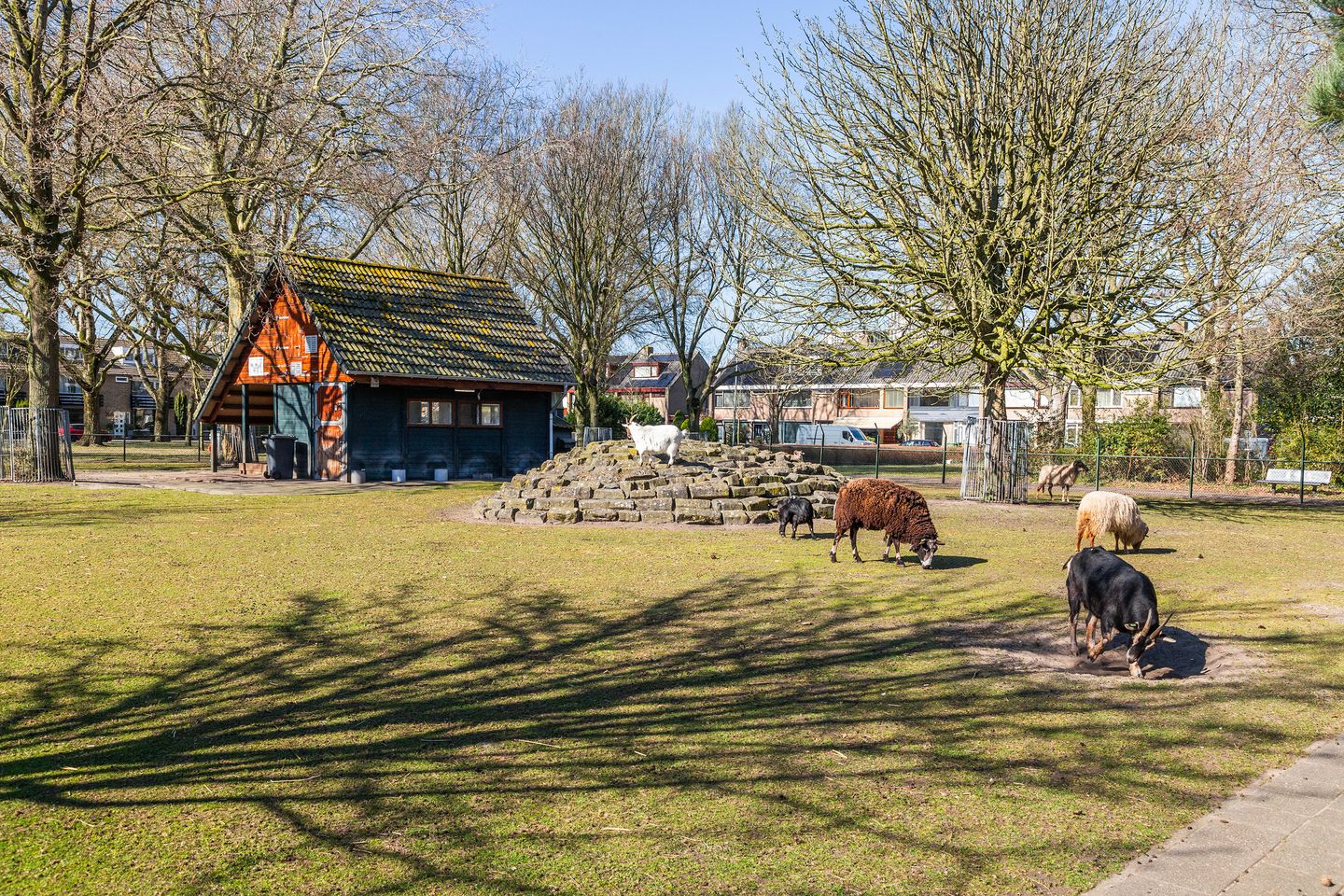 Foto 4 van Lijsterlaan 106