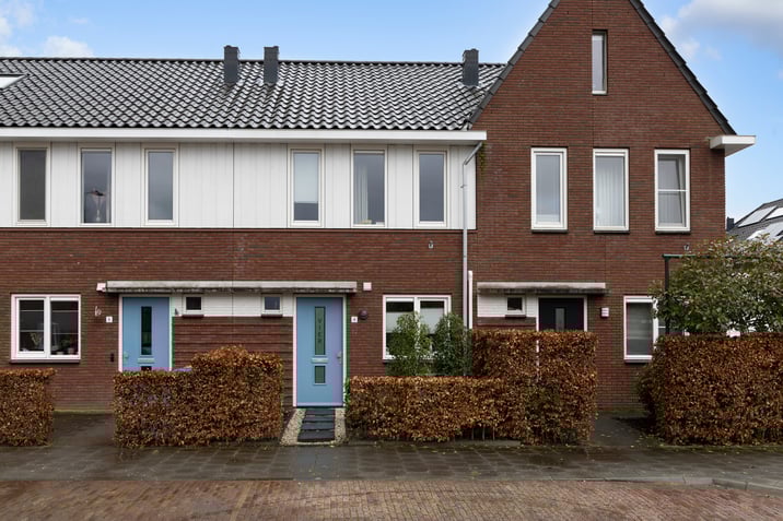 undefined main image