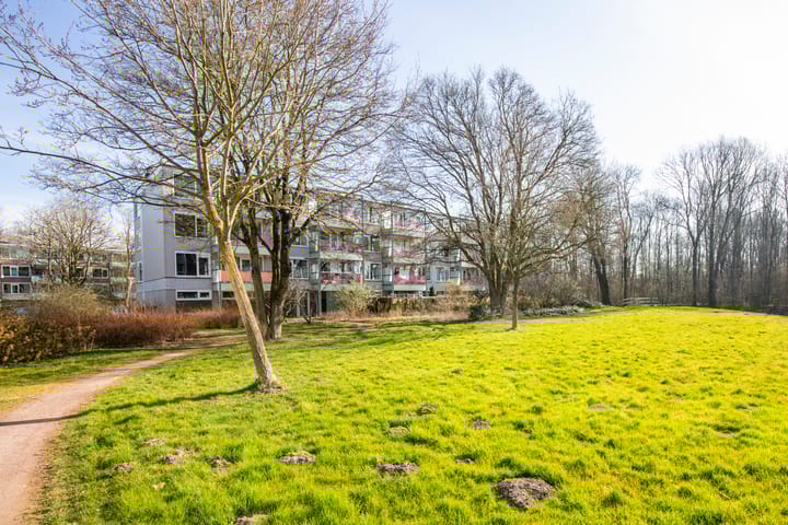 Foto 29 van Landingsplaats 26