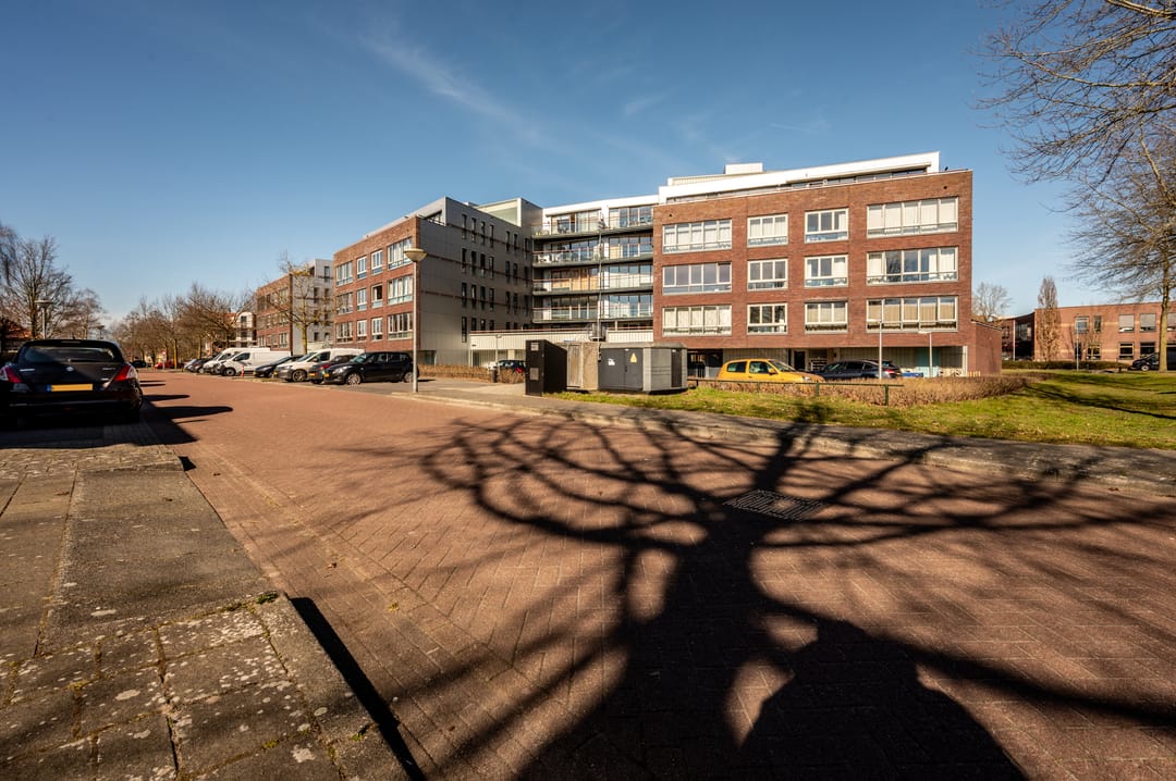 Photo 31 of Oldenallerhout 80