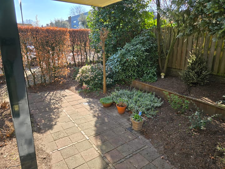 Foto 43 van Anna Paulownalaan 6