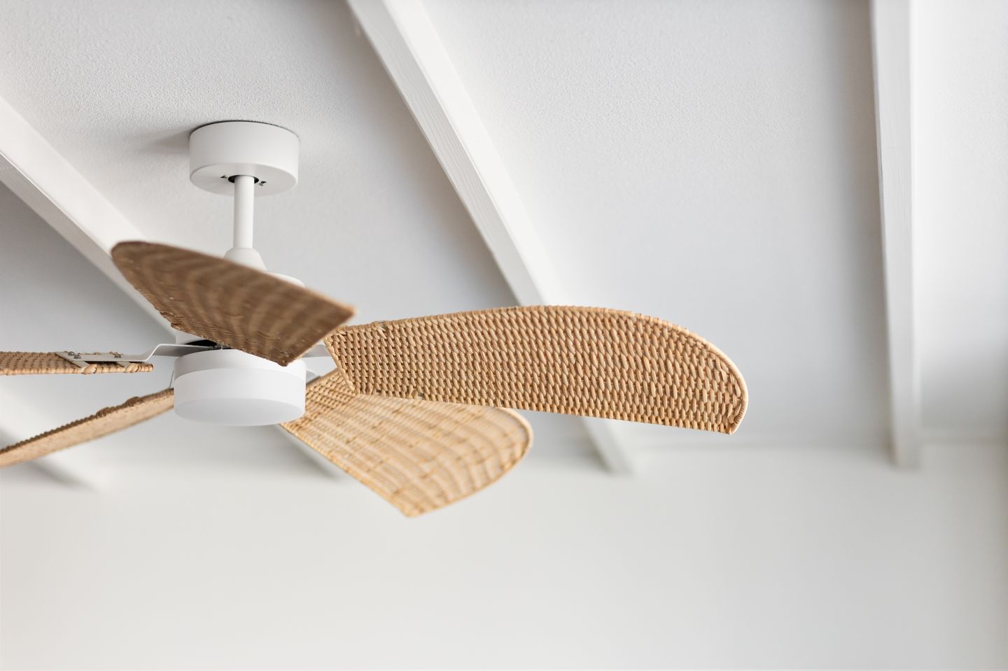 Foto 14 van Paul Krugerstraat 134-A