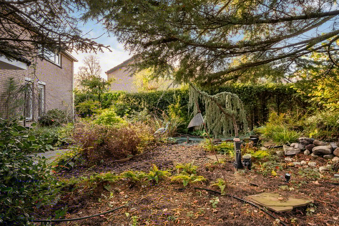 Foto 46 van Abelendreef 1