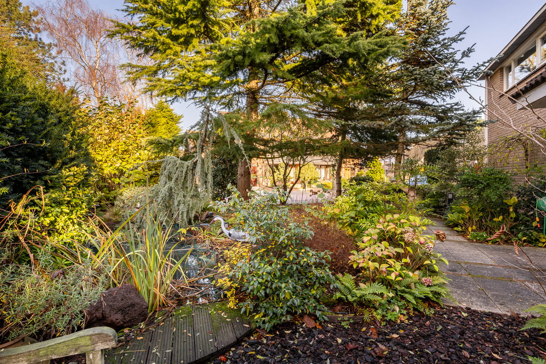 Foto 47 van Abelendreef 1