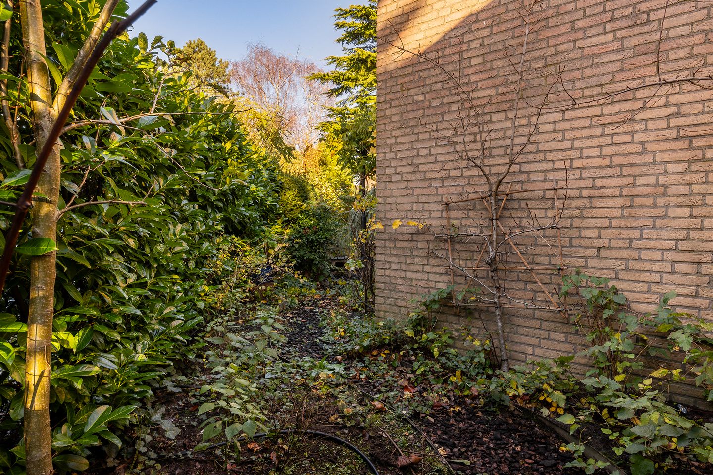 Foto 50 van Abelendreef 1