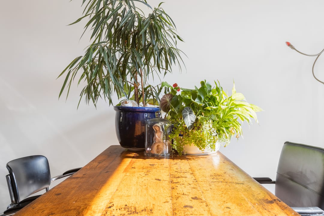 Foto 16 van Bilderdijkstraat 29