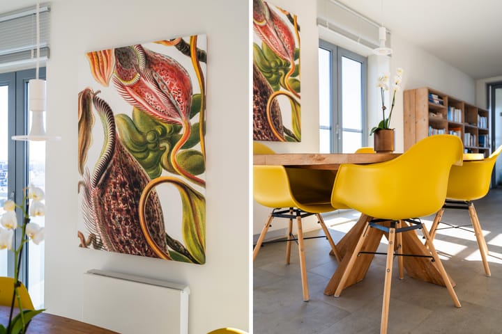 Foto 7 van Noorderhoofd 28