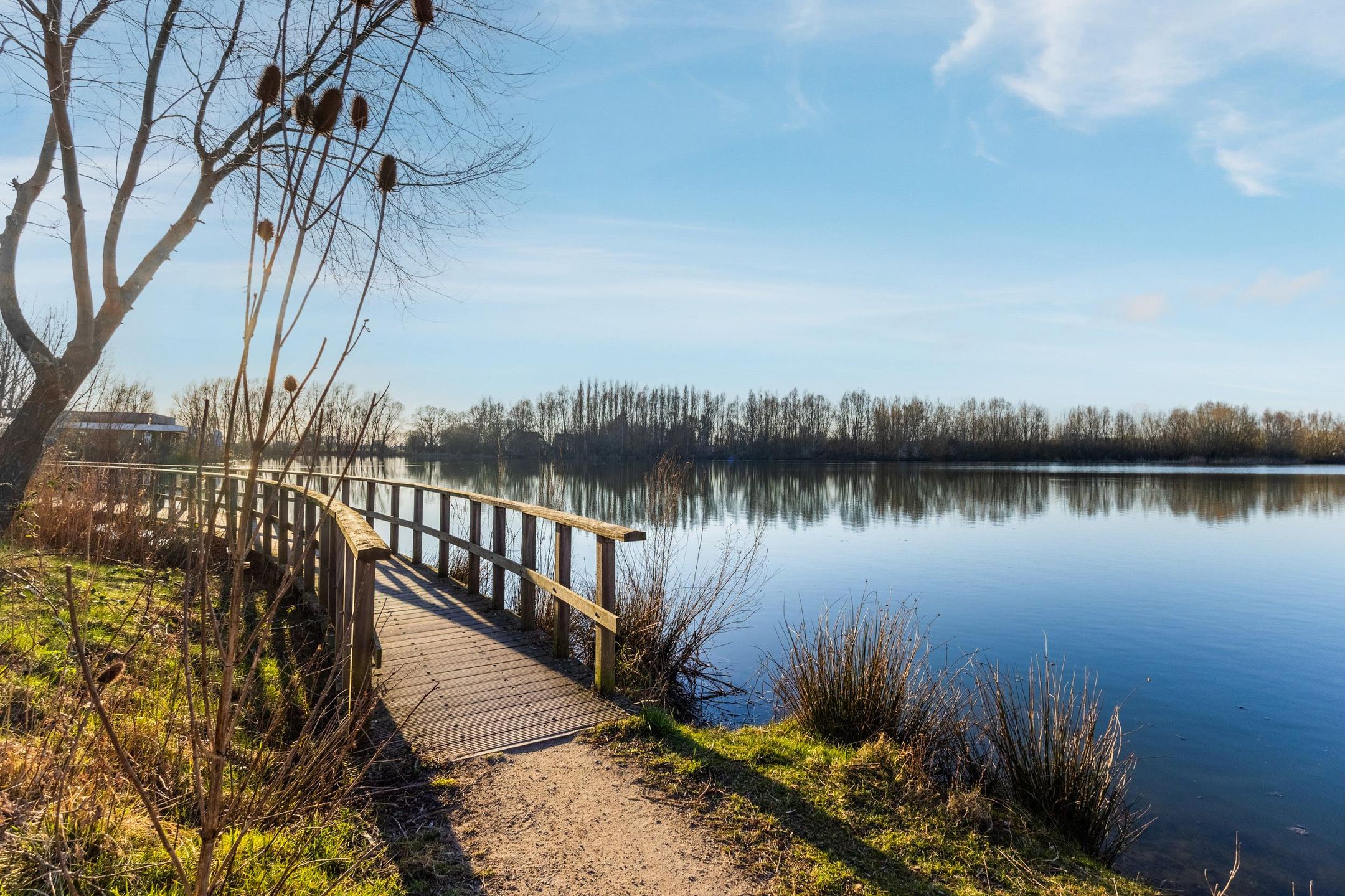 Foto 48 van IJskristal 17