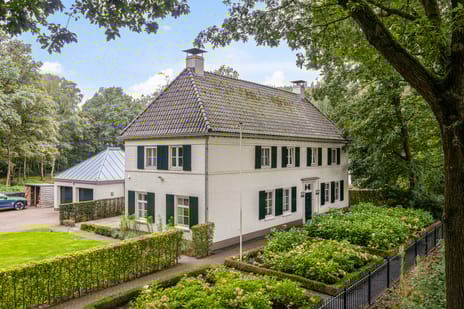 undefined main image