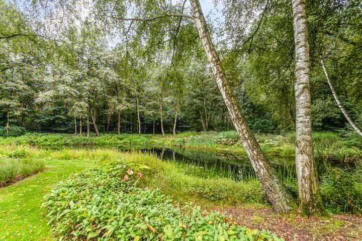 Photo 64 of Beerseweg 35