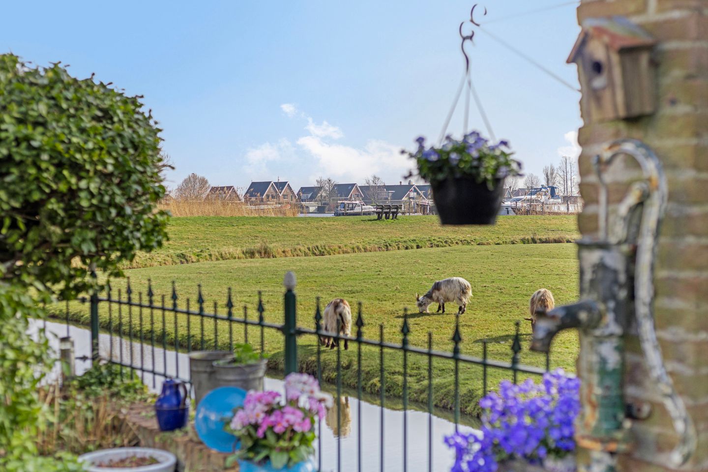 Foto 4 van Geertje Pel-Grootstraat 61