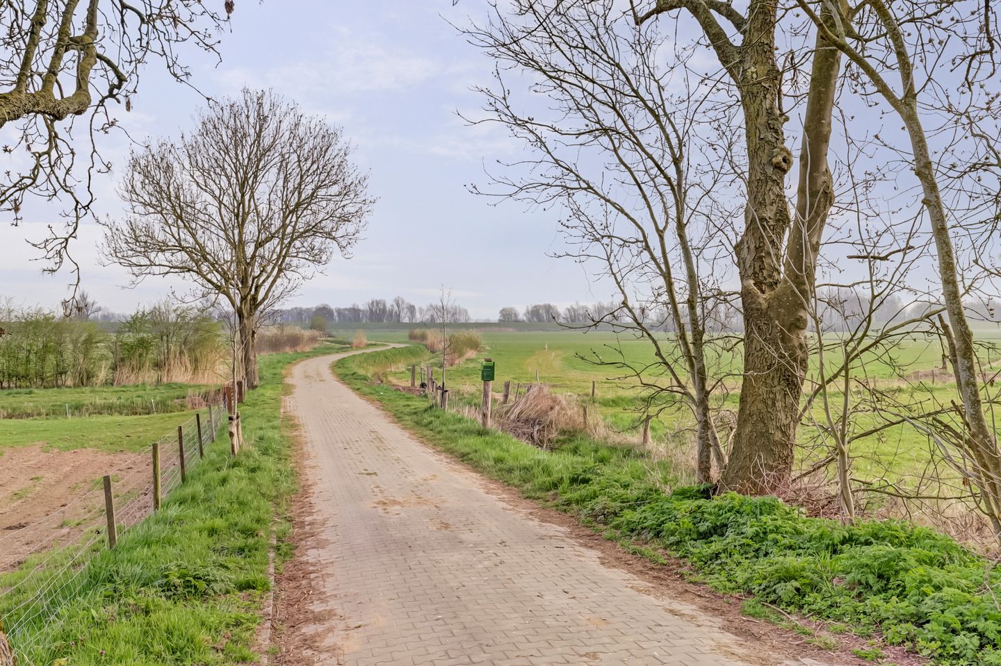 Foto 40 van Maasdijk 8