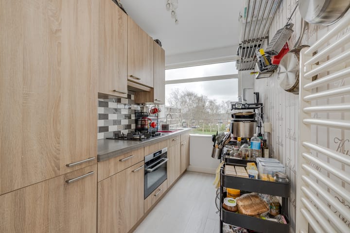 Foto 3 van Jan van Goyenplantsoen 24